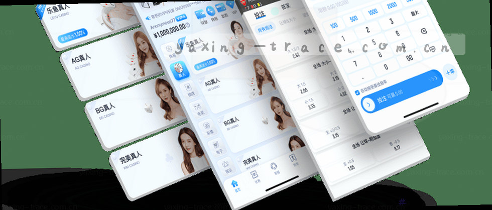 隐私政策与数据权益说明